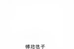 岩层商用放映厅多厅播控后台与影库授权